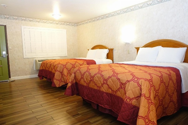 Tropic Lodge image 7